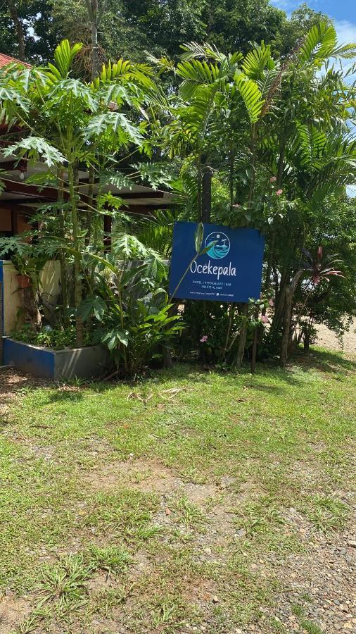 Hotel Ocekepala Palmilla Zewnętrze zdjęcie