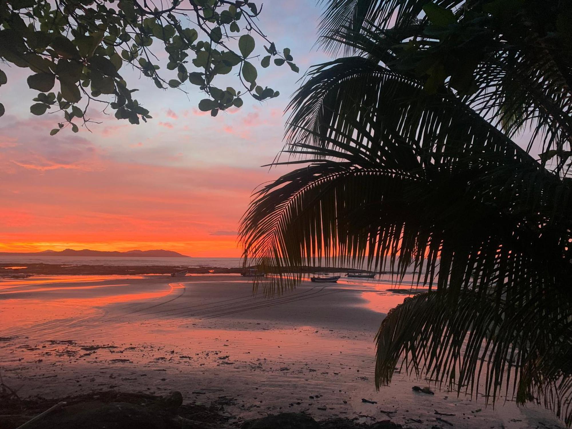 Hotel Ocekepala Palmilla Zewnętrze zdjęcie